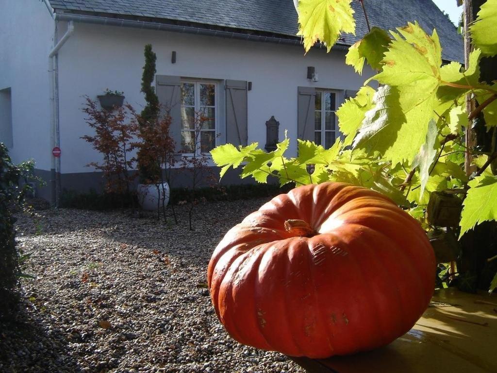 Gite Cottage D'Hamicourt Aux Portes De La Baie De Somme Экстерьер фото